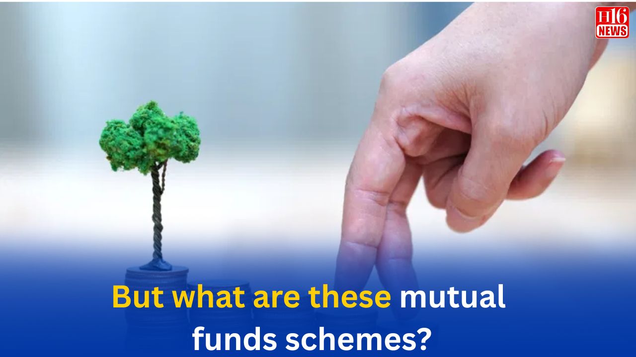 But what are these mutual funds schemes?